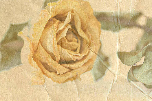 Deborah Hall Barry - Still With You Deborah Hall Barry - Still With You