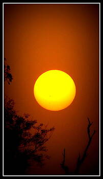 Anand Swaroop Manchiraju - SUNIN DIFFERENT MOODS Anand Swaroop Manchiraju - SUNIN DIFFERENT MOODS
