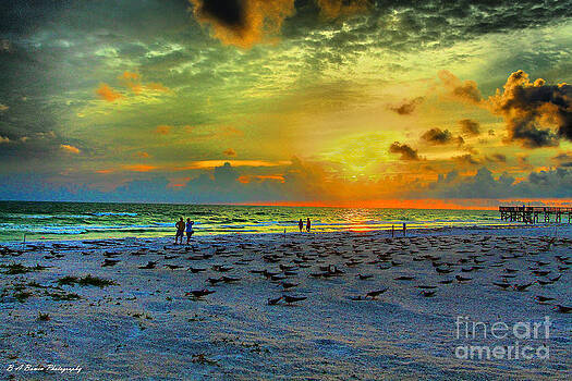 Barbara Bowen - Sunset over Skimmer Colony Barbara Bowen - Sunset over Skimmer Colony
