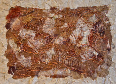 Ruth Edward Anderson - The Forest Floor Ruth Edward Anderson - The Forest Floor