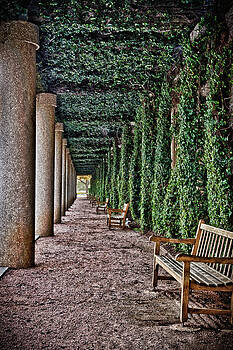 James Woody - The Long Courtyard James Woody - The Long Courtyard