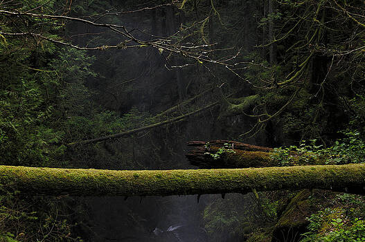 Paul W Sharpe Aka Wizard of Wonders - This is British Columbia No.64 - Squrriel Bridge Over Cypress Fa Paul W Sharpe Aka Wizard of Wonders - This is British Columbia No.64 - Squrriel Bridge Over Cypress Fa