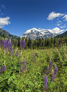 Paul W Sharpe Aka Wizard of Wonders - This is British Columbia No.70 - Summer at Mount Robson Paul W Sharpe Aka Wizard of Wonders - This is British Columbia No.70 - Summer at Mount Robson