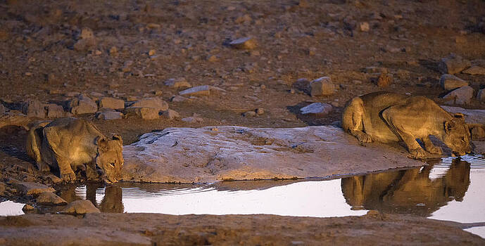 Paul W Sharpe Aka Wizard of Wonders - This is Namibia No. 7 - Ripples Reflect Paul W Sharpe Aka Wizard of Wonders - This is Namibia No. 7 - Ripples Reflect