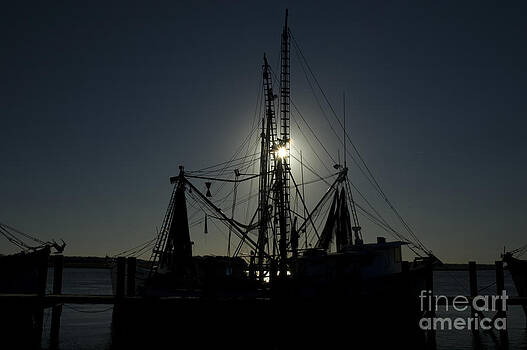 Tim Mulina - Trawler Silhouette Tim Mulina - Trawler Silhouette