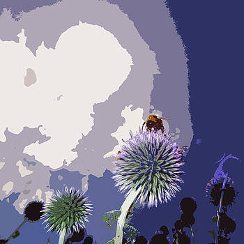 James Hill - Bee on an Allium James Hill - Bee on an Allium