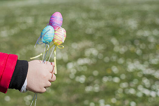 Newnow Photography By Vera Cepic - Colorful Easter eggs in toddlers hands Newnow Photography By Vera Cepic - Colorful Easter eggs in toddlers hands
