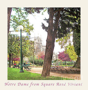 Felipe Adan Lerma - Notre Dame from Square Rene Viviani Felipe Adan Lerma - Notre Dame from Square Rene Viviani