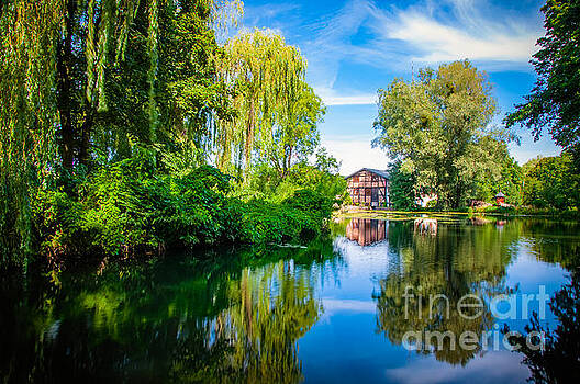 Mariusz Talarek - Gdansk Oliwa Park Mariusz Talarek - Gdansk Oliwa Park