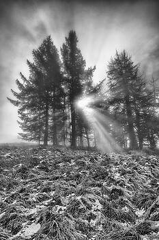 Jeremy Lavender Photography - Scottish Sunrise Jeremy Lavender Photography - Scottish Sunrise