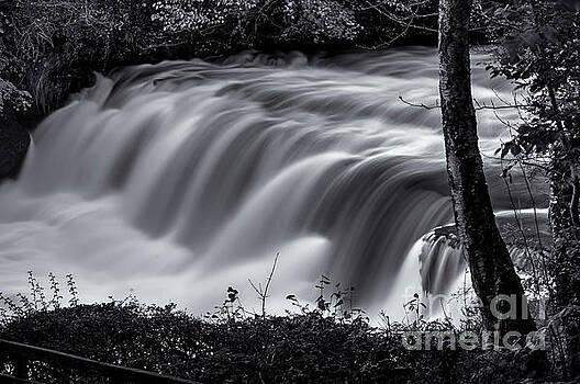 Mariusz Talarek - Aysgarth Falls Mariusz Talarek - Aysgarth Falls