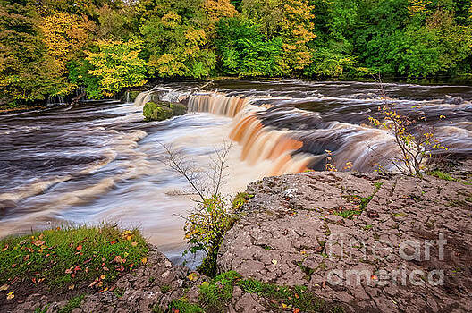 Mariusz Talarek - Aysgarth Falls Mariusz Talarek - Aysgarth Falls