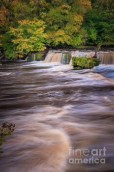 Mariusz Talarek - Aysgarth Falls Mariusz Talarek - Aysgarth Falls