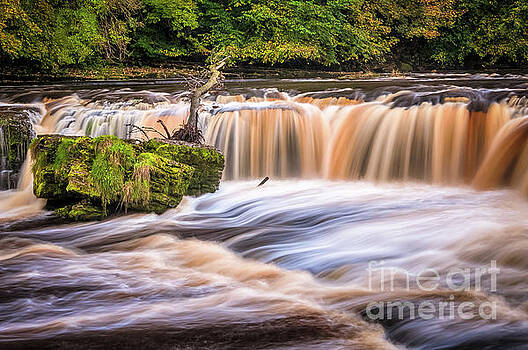 Mariusz Talarek - Aysgarth Falls Mariusz Talarek - Aysgarth Falls