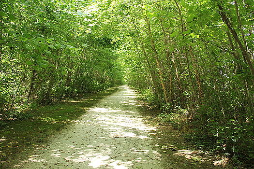 Allen Nice-Webb - A Long Way To Go Allen Nice-Webb - A Long Way To Go