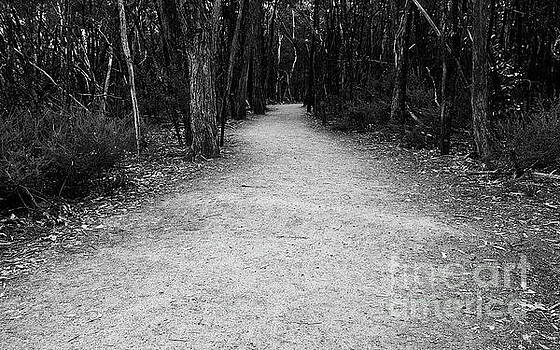 Tim Richards - Aboriginal Path BW Tim Richards - Aboriginal Path BW