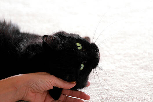 Clayton Bruster - ahhhhhhhh Yes Thats The Spot Clayton Bruster - ahhhhhhhh Yes Thats The Spot