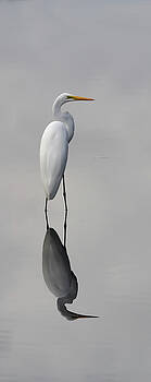 Paul Rebmann - Argent Mirror #2 Paul Rebmann - Argent Mirror #2