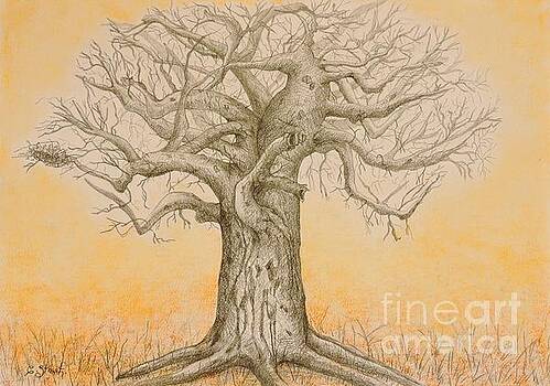 Caroline Street - Baobab in Graphite Caroline Street - Baobab in Graphite