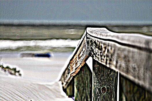 David Ralph Johnson - Beach Rail David Ralph Johnson - Beach Rail