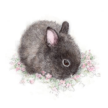 Laurie Musser - Bun Bun 1 Laurie Musser - Bun Bun 1