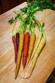Mike Penney - Carrots Multicolored Mike Penney - Carrots Multicolored