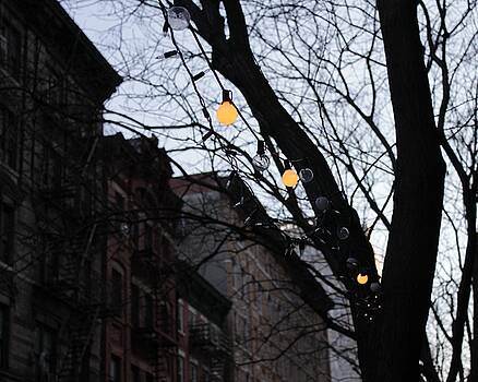 Karin Kohlmeier - Chinatown Lights Karin Kohlmeier - Chinatown Lights