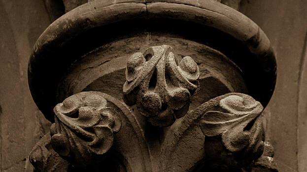 Jacek Wojnarowski - Close up of Rounded Column Capital Jacek Wojnarowski - Close up of Rounded Column Capital