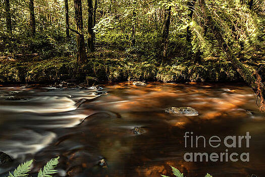 Marc Daly - Colligan River Flow Marc Daly - Colligan River Flow