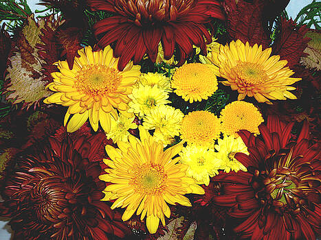 Allen Nice-Webb - Dahlia Display Allen Nice-Webb - Dahlia Display