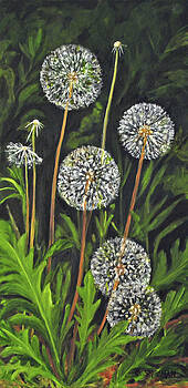 Carolyn Shireman - Dandelion Puff Carolyn Shireman - Dandelion Puff