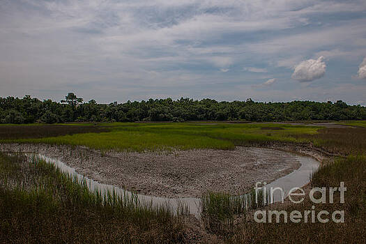 Dale Powell - Daniel Island Marsh Dale Powell - Daniel Island Marsh