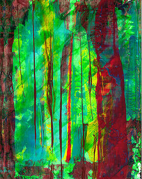 Thomas Lupari - Emerald Forest Thomas Lupari - Emerald Forest