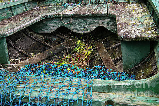 Bob Phillips - Fern and Lichen in a Boat Bob Phillips - Fern and Lichen in a Boat