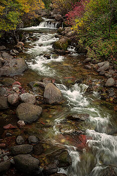 Rick Strobaugh - Forest Stream Rick Strobaugh - Forest Stream