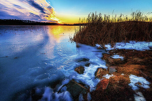 Sylvia J Zarco - Frozen Plume of Great Meadow Sun Sylvia J Zarco - Frozen Plume of Great Meadow Sun