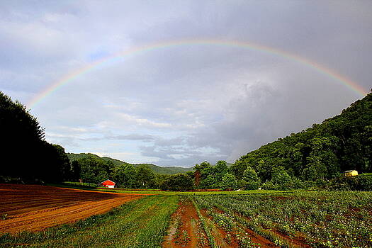 Allen Nice-Webb - Garden Rainbow Allen Nice-Webb - Garden Rainbow