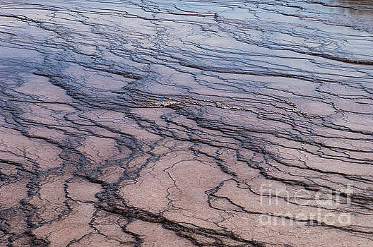 Bob Phillips - Geyser Runoff Shapes Bob Phillips - Geyser Runoff Shapes