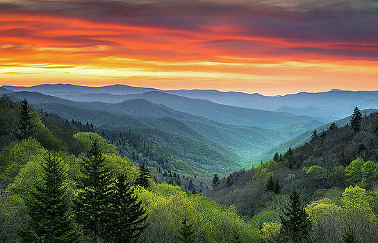 Dave Allen Artwork For Sale Hendersonville Nc