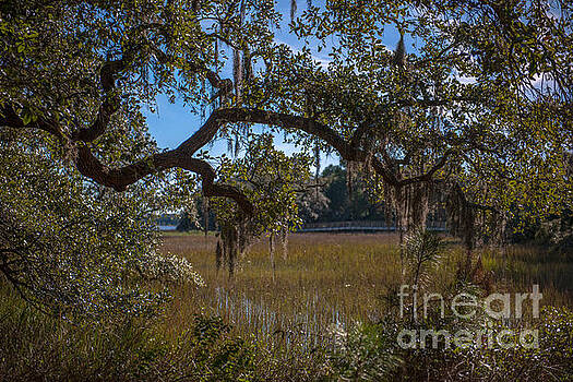 Dale Powell - Heavenly Marsh View on Daniel Island Dale Powell - Heavenly Marsh View on Daniel Island