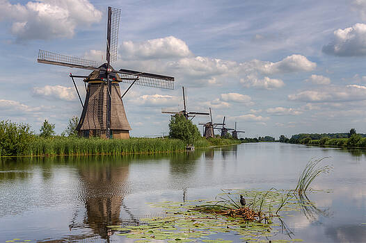 Clare Bambers - Historic Windmills in Holland Clare Bambers - Historic Windmills in Holland