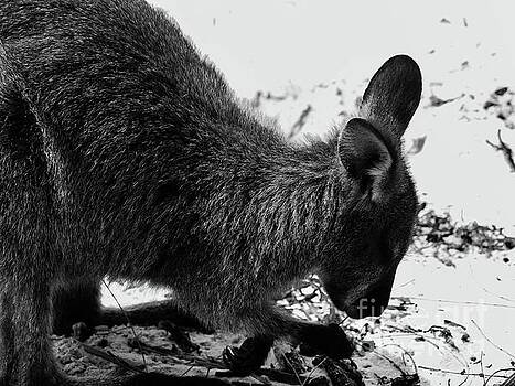 Tim Richards - Innocence BW Tim Richards - Innocence BW