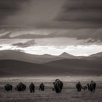 Chris Bordeleau - Into the sunset - BW Chris Bordeleau - Into the sunset - BW