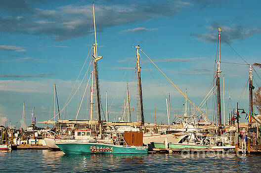 Bob Phillips - Key West Sailing Vessels Bob Phillips - Key West Sailing Vessels