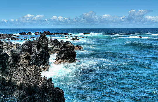 Janet Fikar - Laupahoehoe Beach 2 Janet Fikar - Laupahoehoe Beach 2