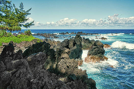 Janet Fikar - Laupahoehoe Beach 3 Janet Fikar - Laupahoehoe Beach 3