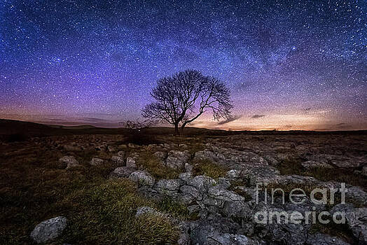 Mariusz Talarek - Limestone, Lonely Tree and Milky Way Mariusz Talarek - Limestone, Lonely Tree and Milky Way
