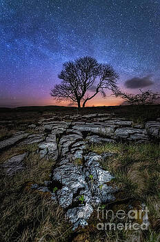 Mariusz Talarek - Limestone, tree and Milky Way Mariusz Talarek - Limestone, tree and Milky Way