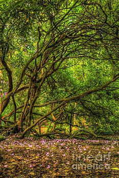 Marc Daly - Lismore flower carpet Marc Daly - Lismore flower carpet
