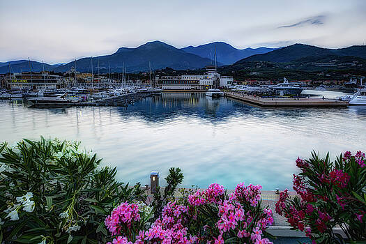 Enrico Pelos - LOANO SUNSET over sea and mountains with flowers Enrico Pelos - LOANO SUNSET over sea and mountains with flowers